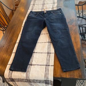 Democracy “ab”solution size 12 skinny jeans